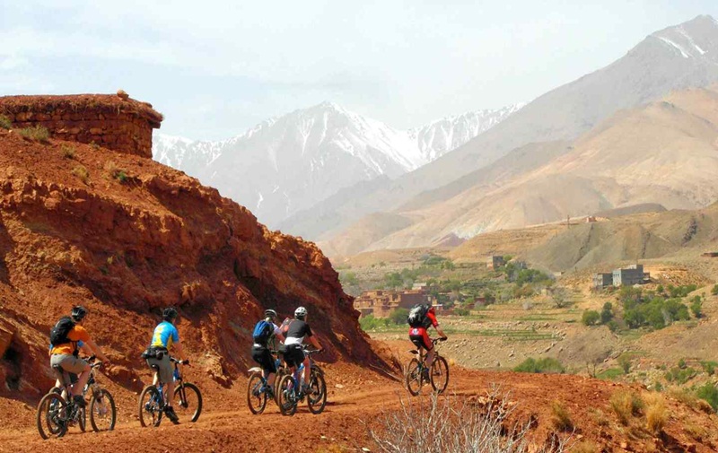 Mountain Bike Tours 